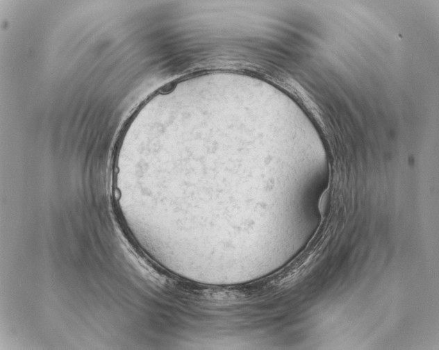 X0000088220795200706121829