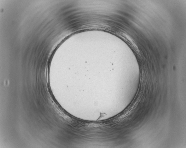 X0000088220796200706121829