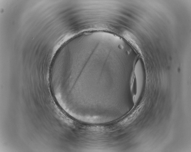 X0000088220797200706121829