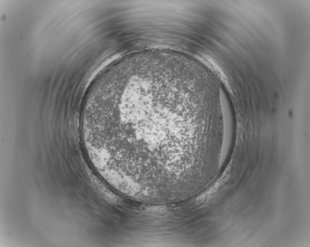 X0000088220798200706121829