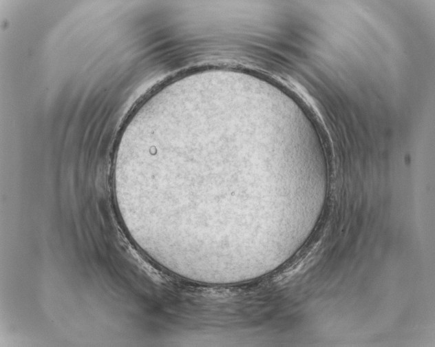 X0000088220799200706121829