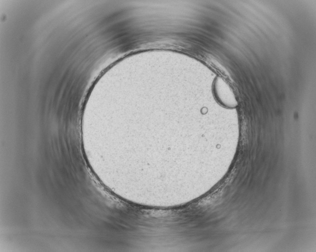 X0000088220800200706121829