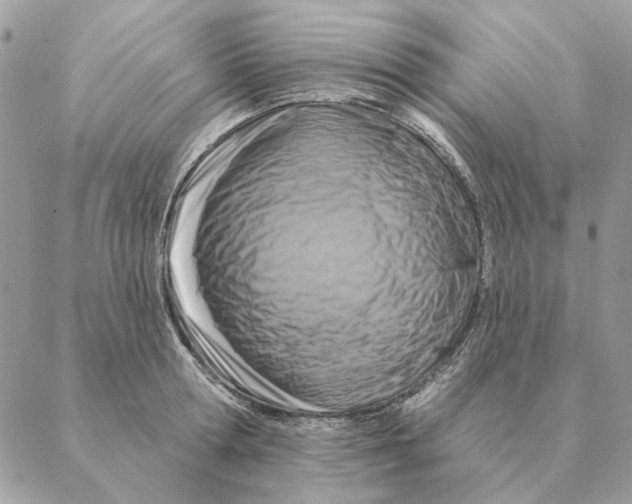 X0000088220802200706121829