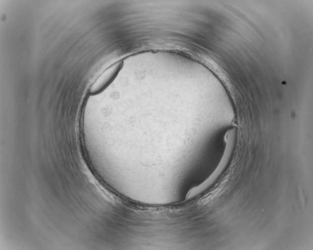 X0000088220803200706121829