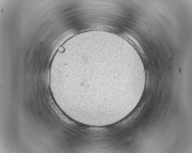 X0000088220804200706121829