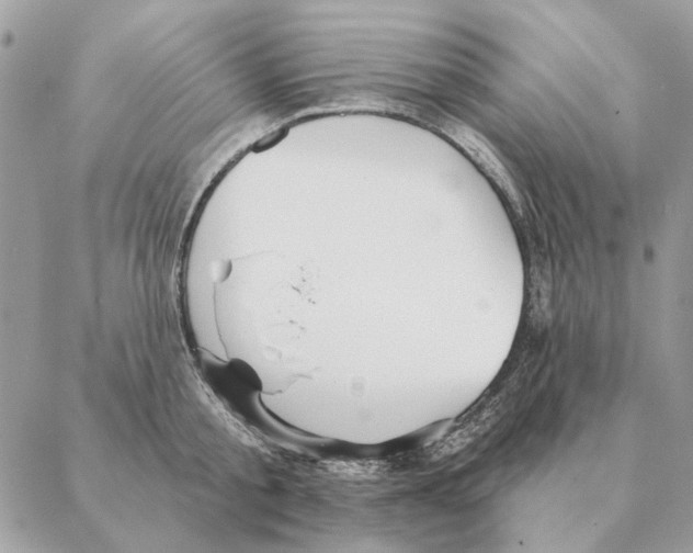 X0000088220805200706121829