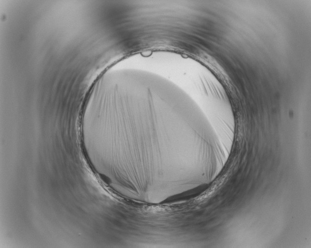 X0000088220806200706121829