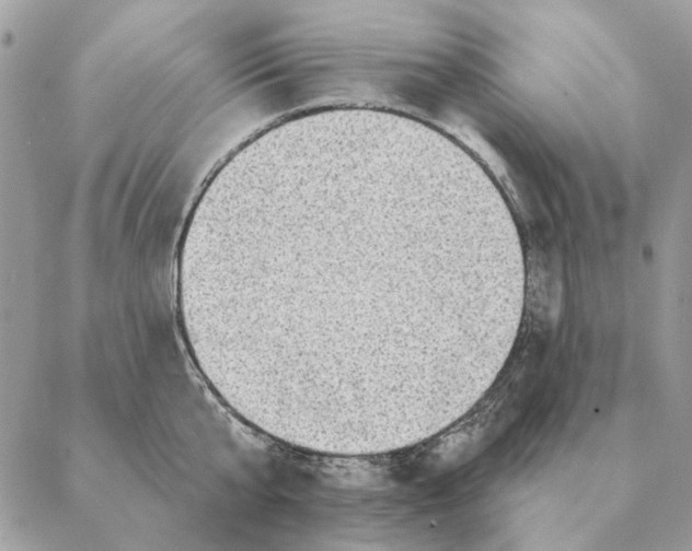 X0000088220807200706121829