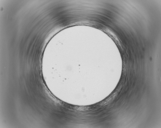 X0000088220808200706121829