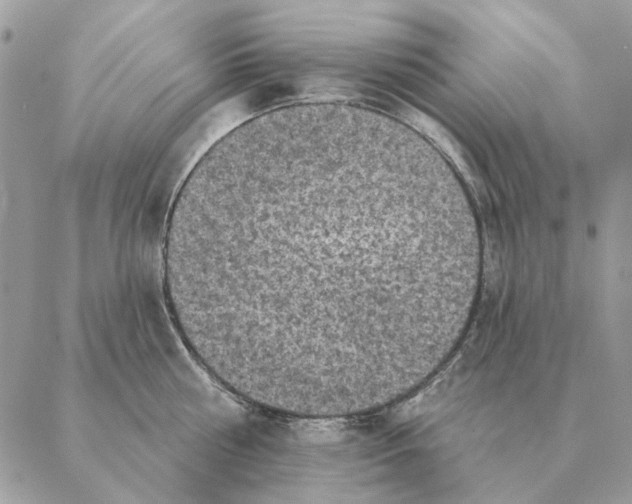 X0000088220810200706121829