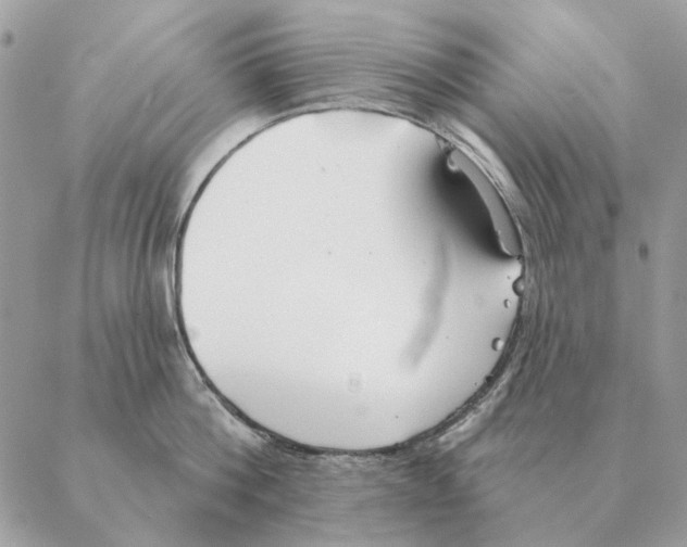 X0000088220812200706121828