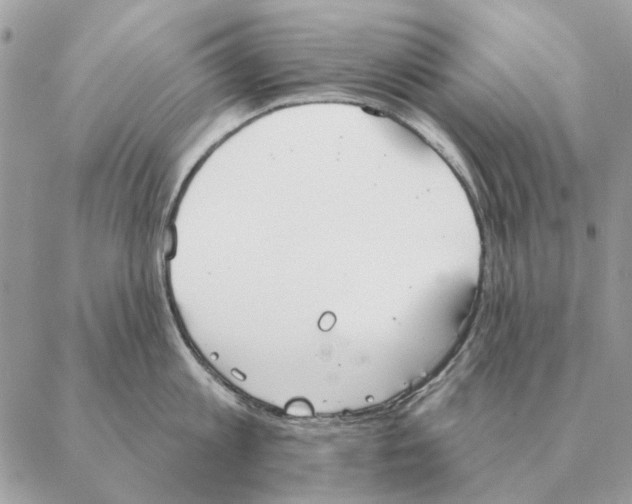 X0000088220813200706121828