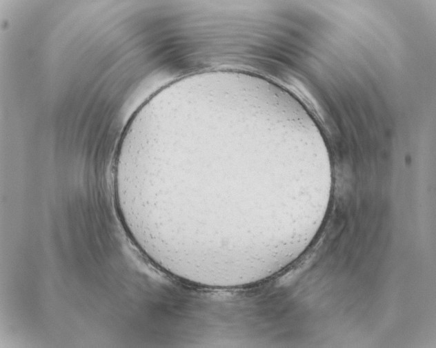 X0000088220814200706121828