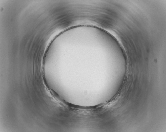 X0000088220815200706121828