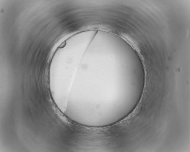 X0000088220816200706121828