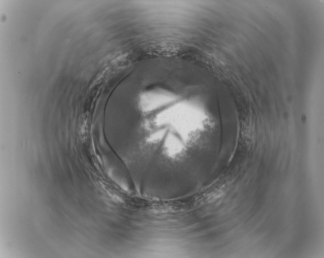 X0000088220818200706121828