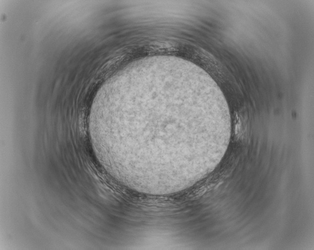 X0000088220819200706121828