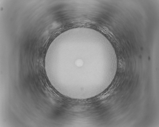 X0000088220820200706121828