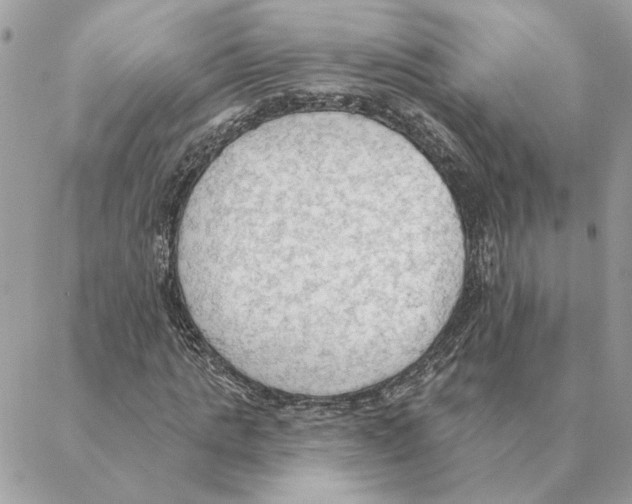 X0000088220821200706121828