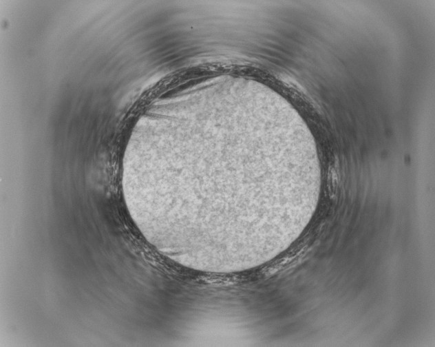 X0000088220822200706121828