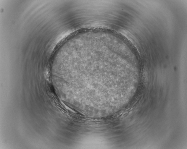 X0000088220823200706121828