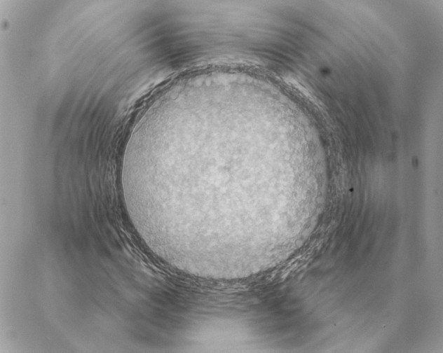 X0000088220824200706121828