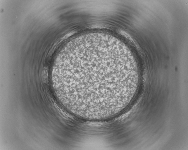 X0000088220825200706121828