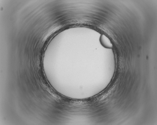 X0000088220826200706121828