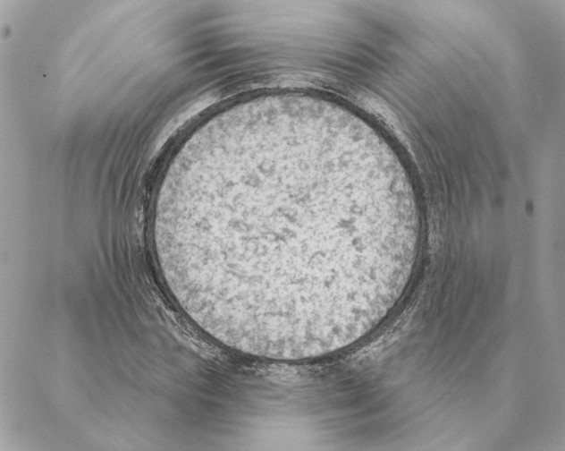 X0000088220827200706121828