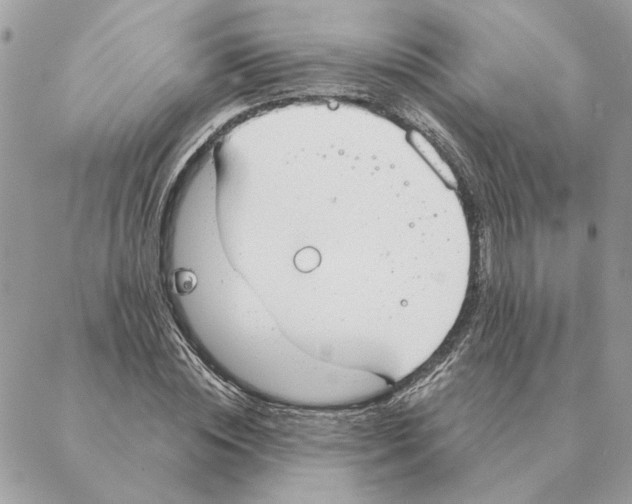 X0000088220828200706121828