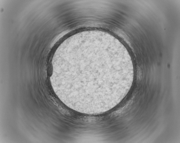 X0000088220829200706121828