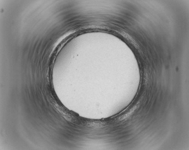 X0000088220830200706121828