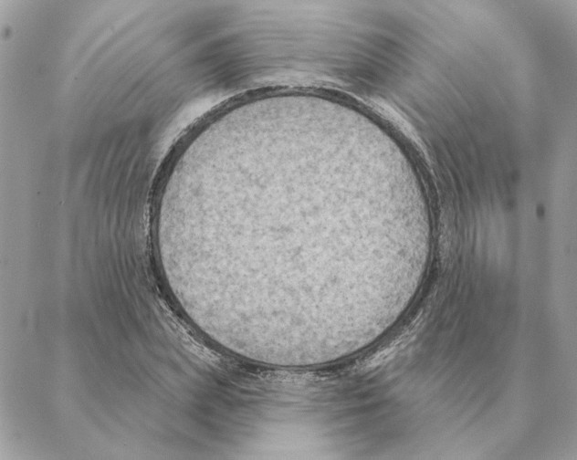 X0000088220831200706121828