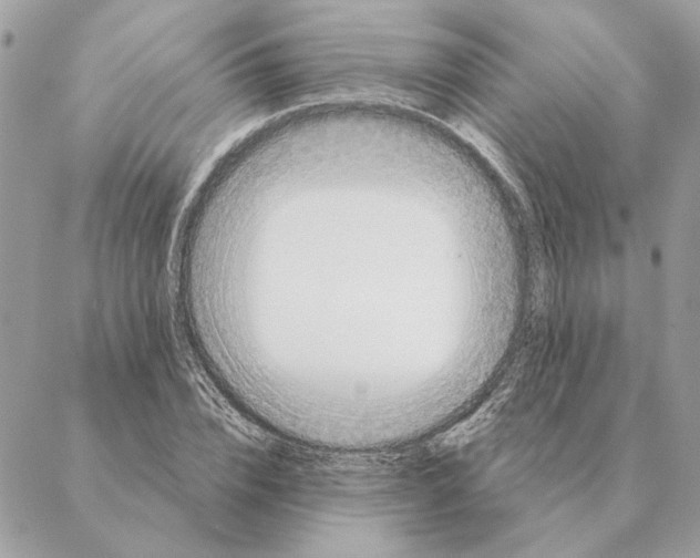 X0000088220832200706121828