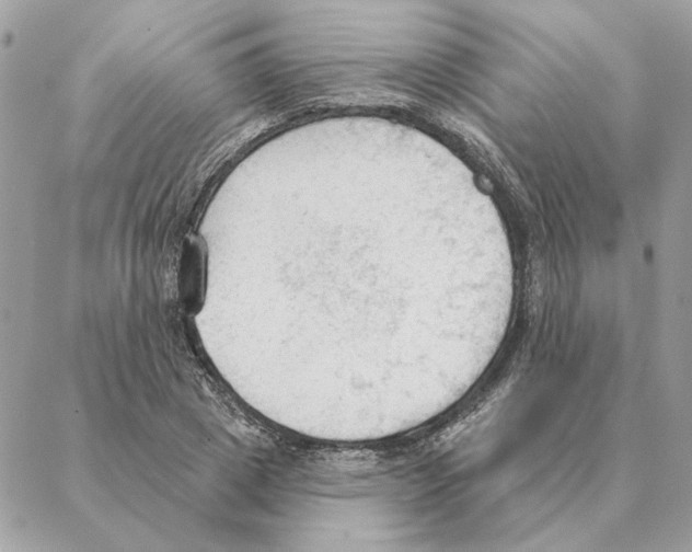 X0000088220833200706121828