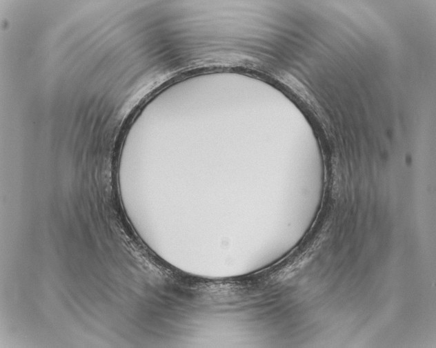 X0000088220834200706121828