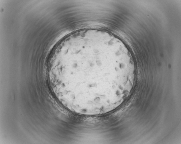 X0000088220835200706121828