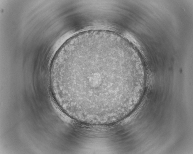 X0000088220836200706121828