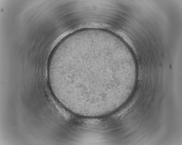 X0000088220837200706121828