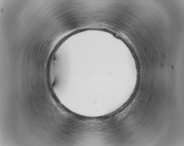 X0000088220838200706121828