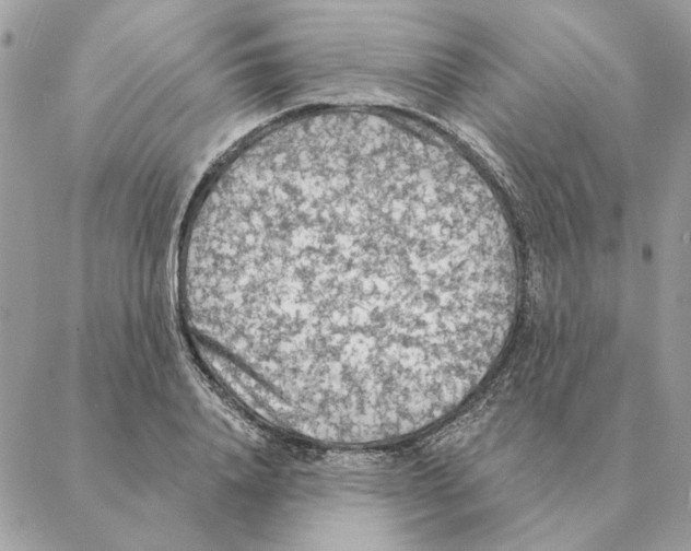 X0000088220840200706121828