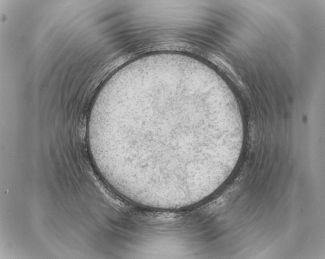 X0000088220841200706121828