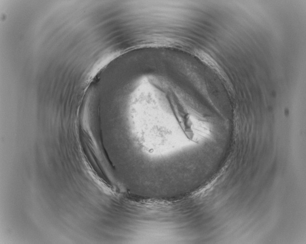 X0000088220842200706121828