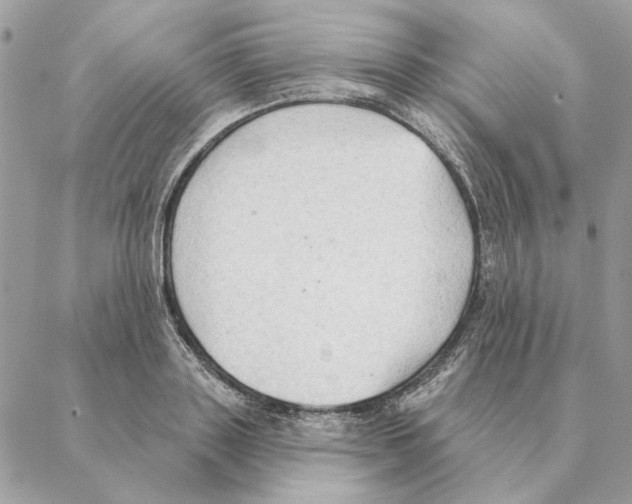 X0000088220843200706121828