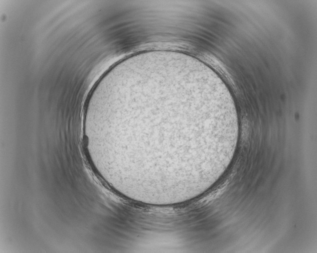 X0000088220844200706121828