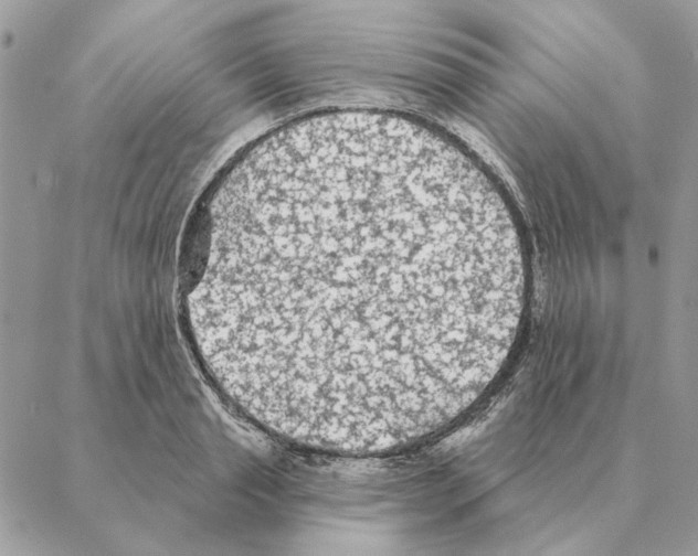 X0000088220845200706121828