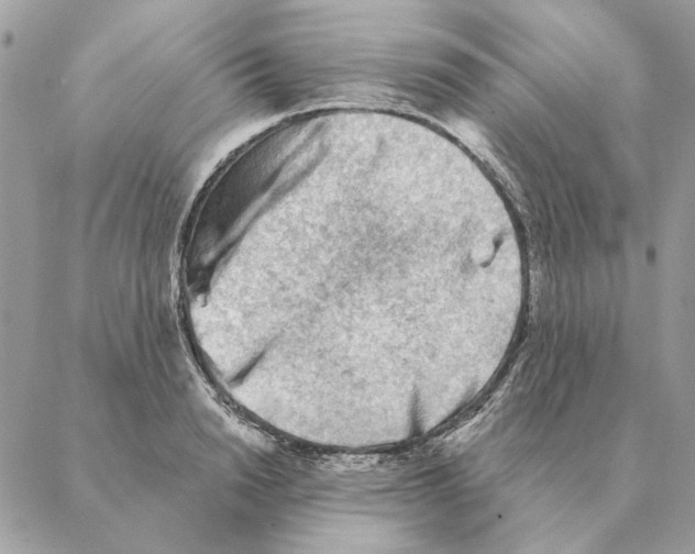 X0000088220846200706121828