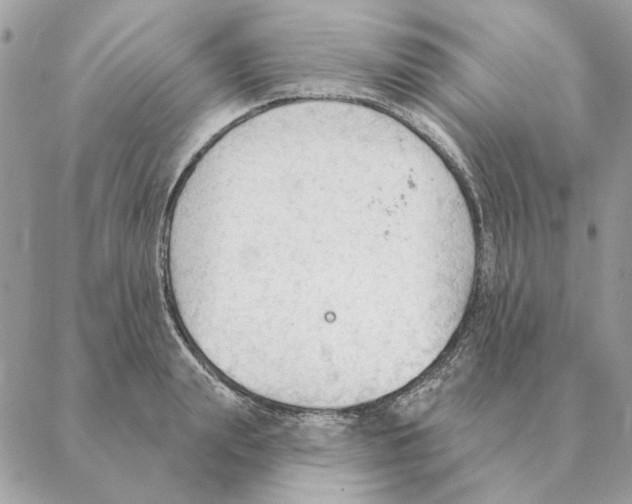 X0000088220847200706121828