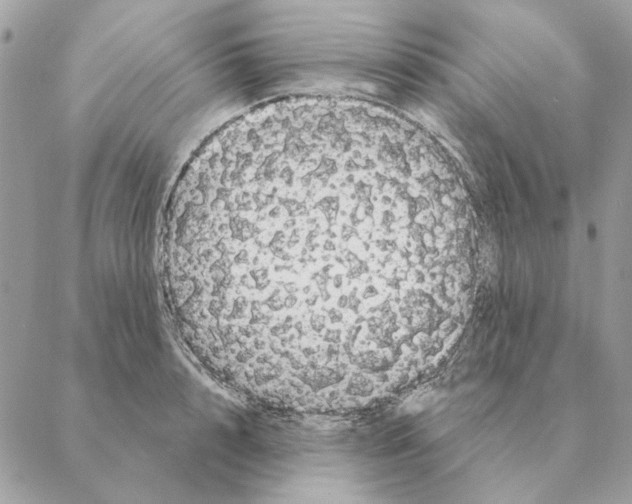 X0000088220848200706121828