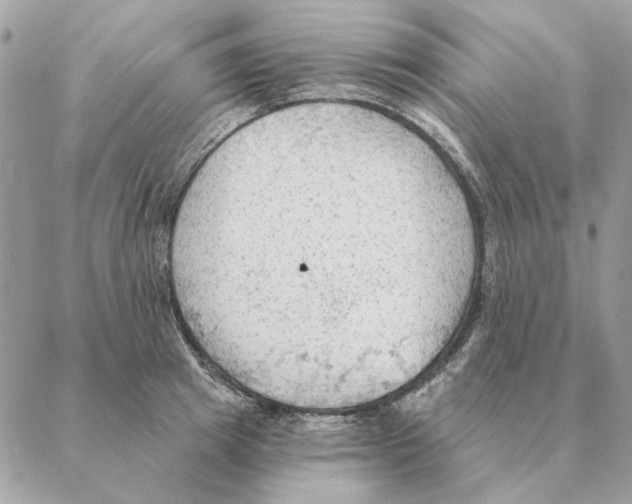 X0000088220849200706121828